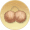 茶香·毛绒铛铛.png