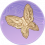 傩面蝶.png