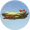 枫木枝干·凡品.png