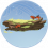 枫木枝干·凡品.png