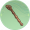 倚山杖.png