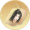 心纸【刘璋】.png