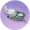 暮春狂岚.png