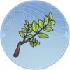 槐树枝.png