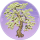 祈愿松·缃帙.png