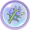 鲜花.png