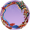 头像框【四灵涤器】.png