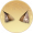 猫耳·绒棕.png