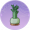 富贵竹.png
