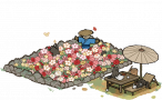 早春花田.png