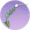 枕翘于藤·壹.png