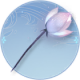 据点-低光荷.png