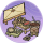 炒货摊·溪风.png