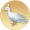 孔雀雏鸟玉雕.png