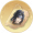 心纸【夏侯渊】.png