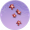 红兰簪花.png