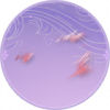 酡颜颊妆.png