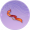 赤练·叁.png