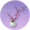 案头清供.png