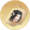 心纸【蒯越】.png
