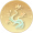 树影.png