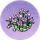 紫花丛·似锦.png