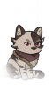 小头像-猫绒绒·凶狠2.png
