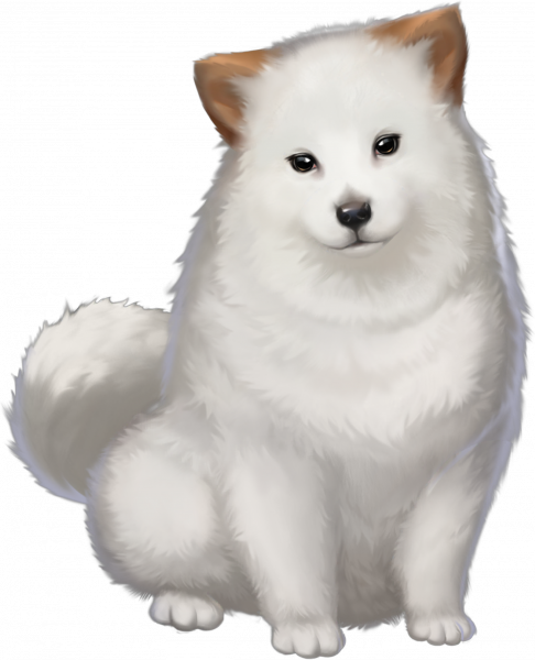 飞云-立绘.png
