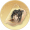 心纸【程普】.png