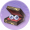 琉璃义眼.png