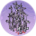 紫竹林·似锦.png