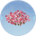 云霞草·金胜.png