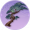 南山茂松.png