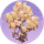 剪纸坊·芳辰.png