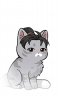 小头像-猫绒绒·青年男.png