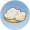 细羊绒.png