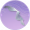轻帐漫卷·贰.png
