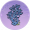 大湖石·绯霞.png