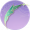 徘徊青鸟·壹.png