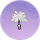羽花·霜蟾.png