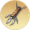 暗器十合一.png