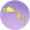 光华灼灼·贰.png