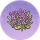 凌波仙·似锦.png