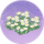 素白花丛·催青.png