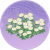 素白花丛·催青.png