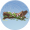 牵牛藤木·凡品.png