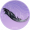 乌夜啼·叁.png