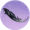 乌夜啼·叁.png