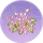 蝶兰丛·溪风.png