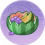 鲜瓜果盘.png